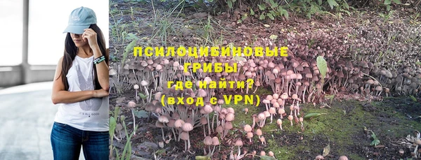 a pvp Арсеньев