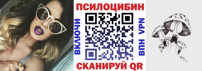 Псилоцибиновые грибы мицелий закладка Крым