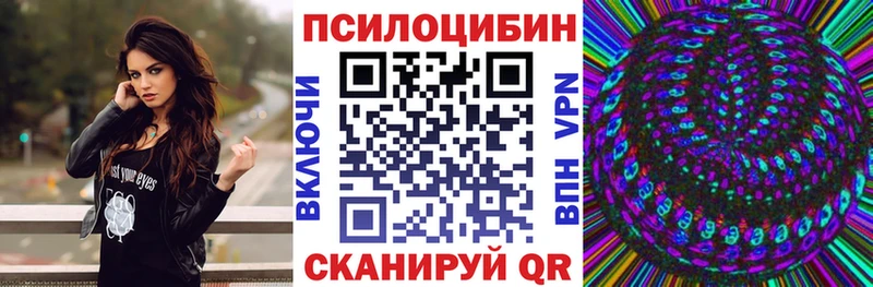 Псилоцибиновые грибы Psilocybe Крым